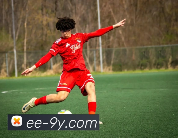 九游官网平台生态图