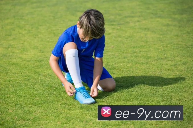 九游官网APP 封面图